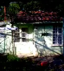 Парцел в Плевен, Дружба 4