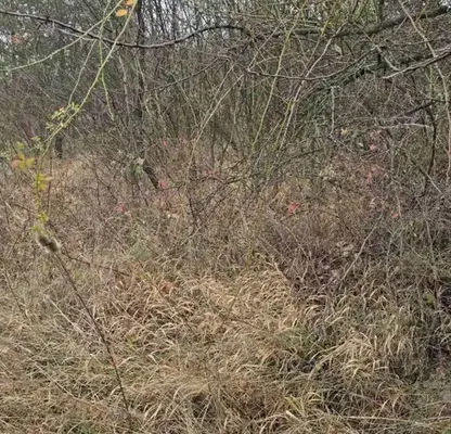 Photo 2 — Plot in Sofiya, Gorna Banya