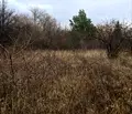 Снимка 3 — Парцел в София, Горна баня