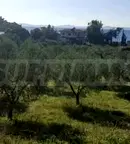 Парцел в Халкидики