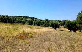 Парцел в Халкидики