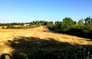 Парцел в Халкидики