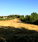Парцел в Халкидики