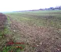 Снимка 4 — Парцел в Стара Загора, Индустриална зона - запад