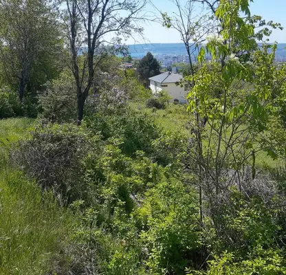 Photo 2 — Plot in Varna, Izgrev