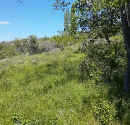 Photo 3 — Plot in Varna, Izgrev