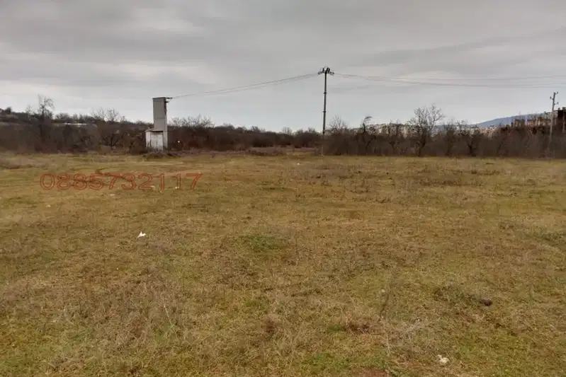 Парцел в Монтана, Жерави