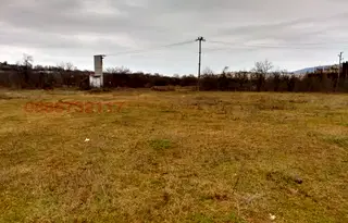 Парцел в Монтана, Жерави