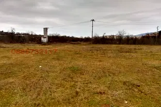 Парцел в Монтана, Жерави