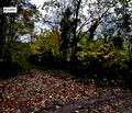Снимка 2 — Парцел в Плевен, Кайлъка