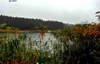 Парцел в Плевен, Кайлъка