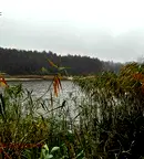 Парцел в Плевен, Кайлъка