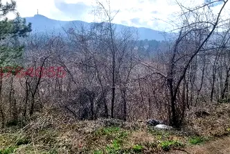 Парцел в София, Княжево