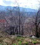 Парцел в София, Княжево