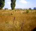 Снимка 4 — Парцел в София, Летище София