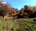 Снимка 4 — Парцел в София, Лозенец