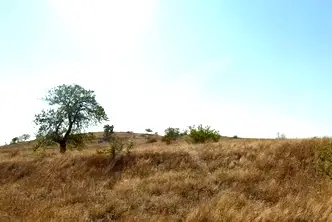 Парцел в Бургас, м-ст Отманли