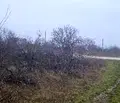Снимка 2 — Парцел във Варна, м-т Боровец - север