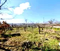 Снимка 5 — Парцел във Варна, м-т Боровец - юг