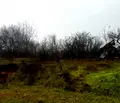Снимка 3 — Парцел във Варна, м-т Боровец - юг