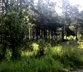 Снимка 3 — Парцел в София, м-т Камбаните