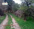 Снимка 4 — Парцел във Варна, м-т Ментешето