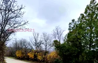 Парцел в Плевен, м-т Мъртва долина