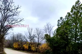 Парцел в Плевен, м-т Мъртва долина