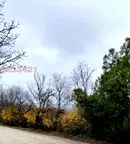 Парцел в Плевен, м-т Мъртва долина