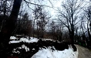 Парцел във Варна, м-т Планова