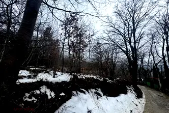 Парцел във Варна, м-т Планова