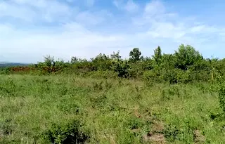 Парцел във Варна, м-т Прибой