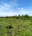 Парцел във Варна, м-т Прибой