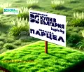Снимка 2 — Парцел във Варна, м-т Ракитника