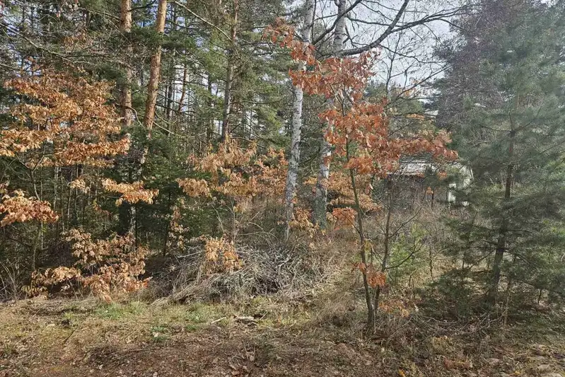 Plot in Sofiya, Shtyrkelovo Gnezdo