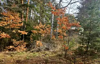 Парцел в София, м-т Щъркелово гнездо