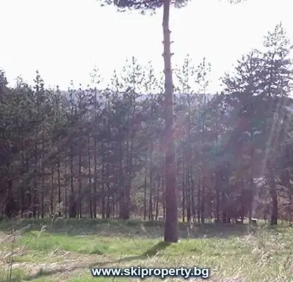 Photo 3 — Plot in Sofiya, м-т яз. Искър