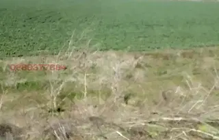 Парцел в София, Малашевци