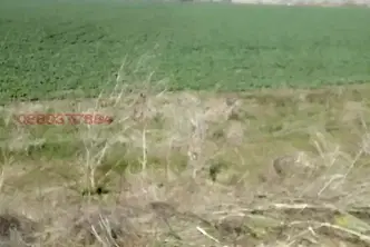 Парцел в София, Малашевци