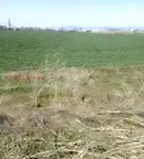 Парцел в София, Малашевци