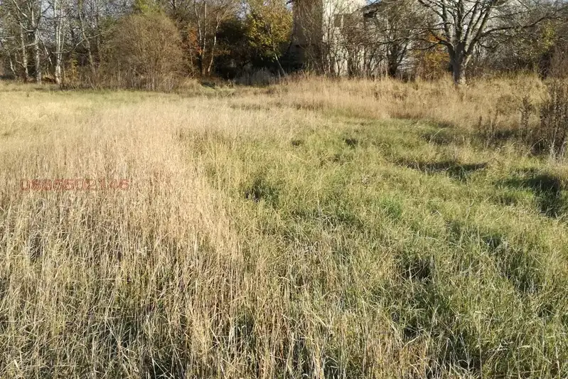 Plot in Sofia, Orlandovci