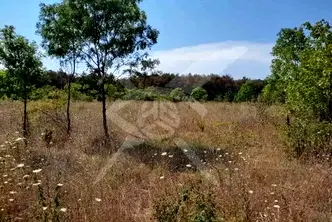Парцел в Бургас, Пети километър
