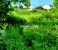 Снимка 2 — Парцел в Кърджали, Прилепци