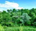 Снимка 3 — Парцел в Кърджали, Прилепци