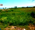 Снимка 3 — Парцел в Пазарджик, Промишлена зона