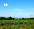Снимка 2 — Парцел във Велико Търново, Промишлена зона - Запад