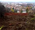 Снимка 5 — Парцел в Монтана, Широк център