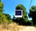 Снимка 5 — Парцел в Перник, Стара Тева