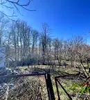 Парцел в Габрово, Тлъчници
