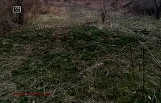 Парцел в София, Требич
